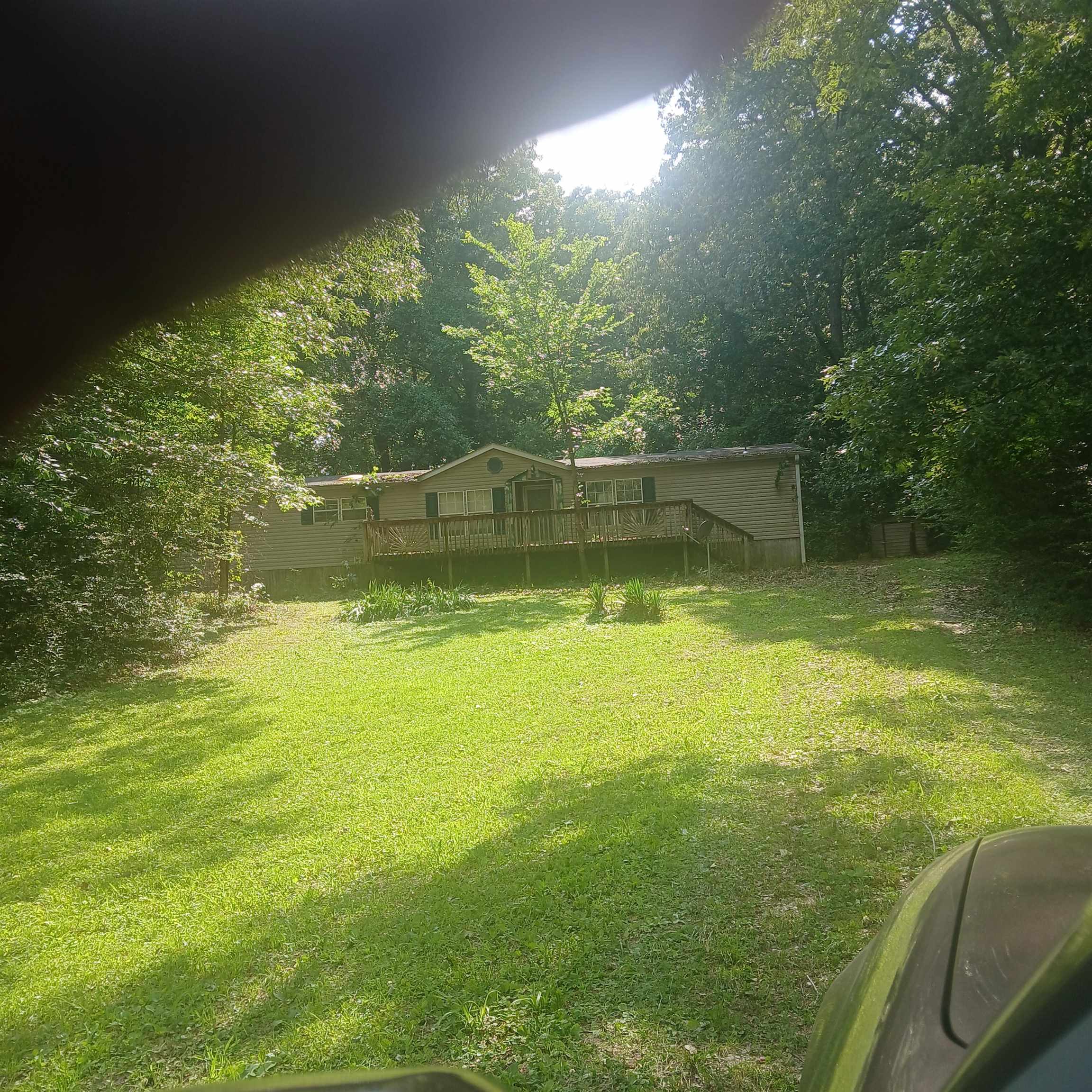 a view of a garden from a swimming pool