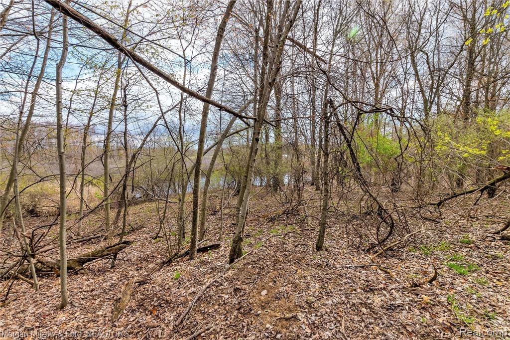 0 Kier Road Auburn Hills, MI 48326 - Photo 12 of 22