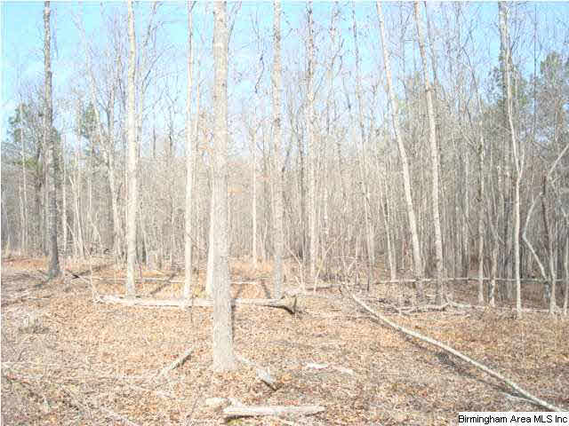 1180 Thompson Road, Unit 39 ACRES Ohatchee, AL 36271 - Photo 8 of 16
