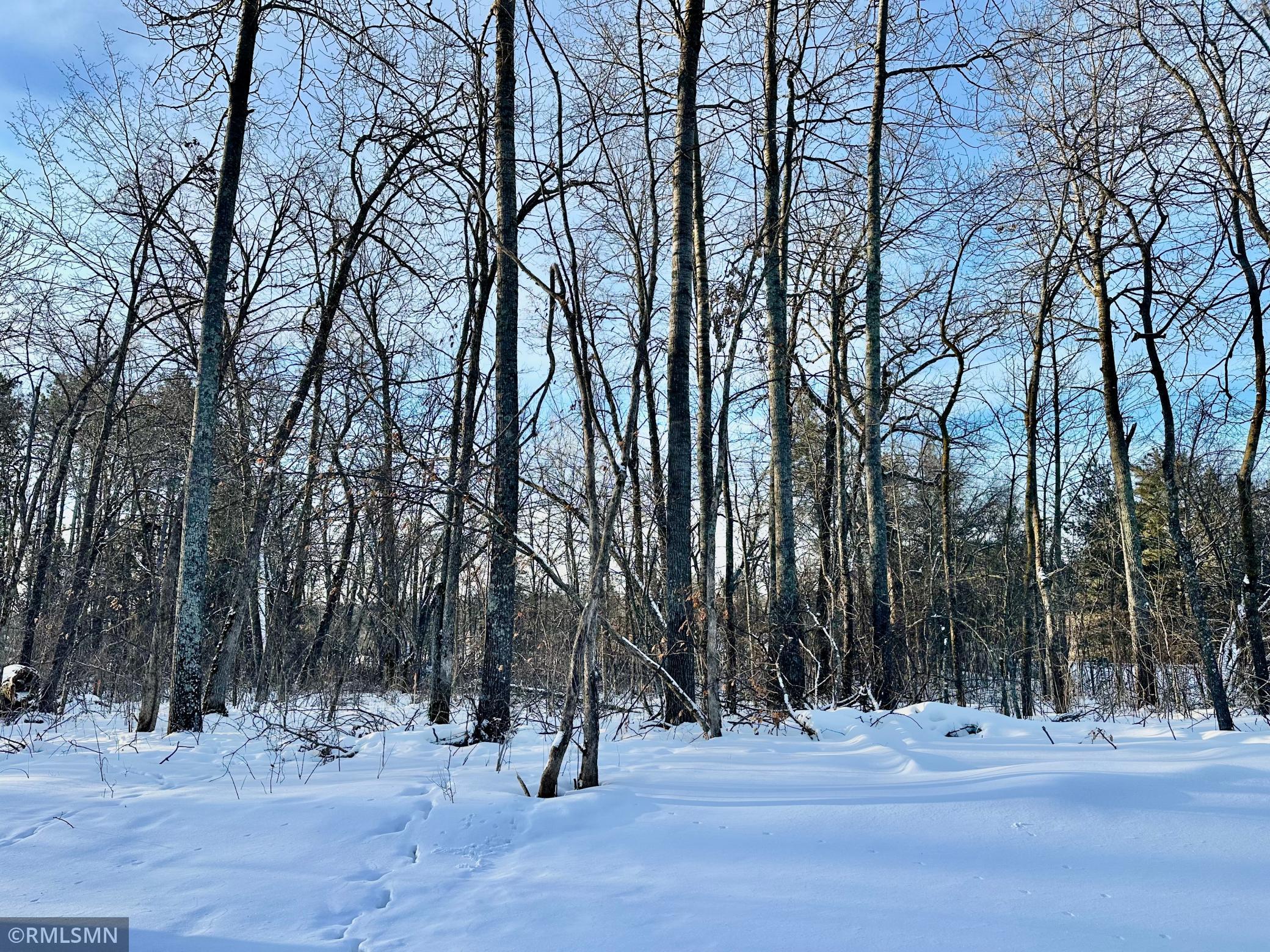 8 County Road 8 Brainerd, MN 56401 - Photo 5 of 21