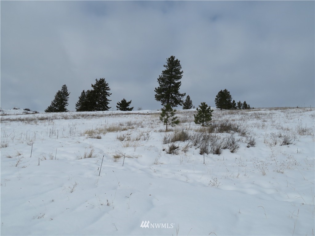 -tbd Yenter Road Republic, WA 99166 - Photo 2 of 12