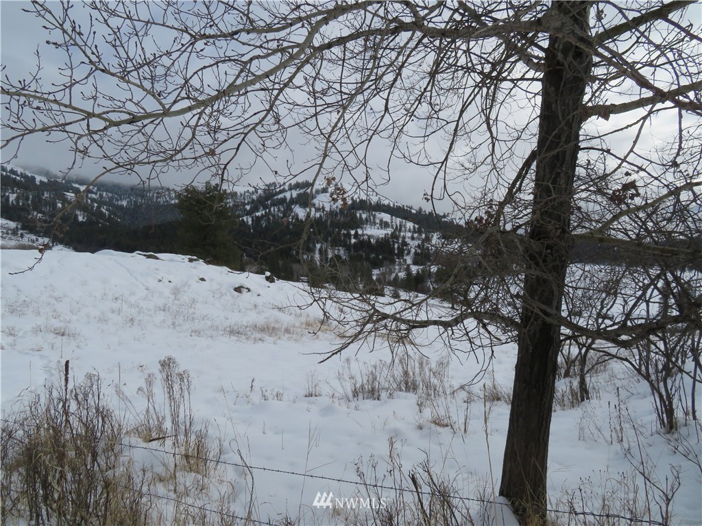 -tbd Yenter Road Republic, WA 99166 - Photo 11 of 12