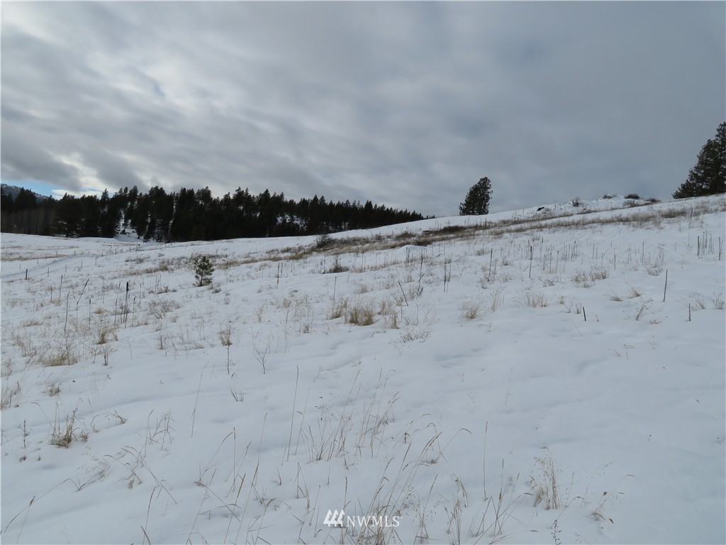 -tbd Yenter Road Republic, WA 99166 - Photo 4 of 12