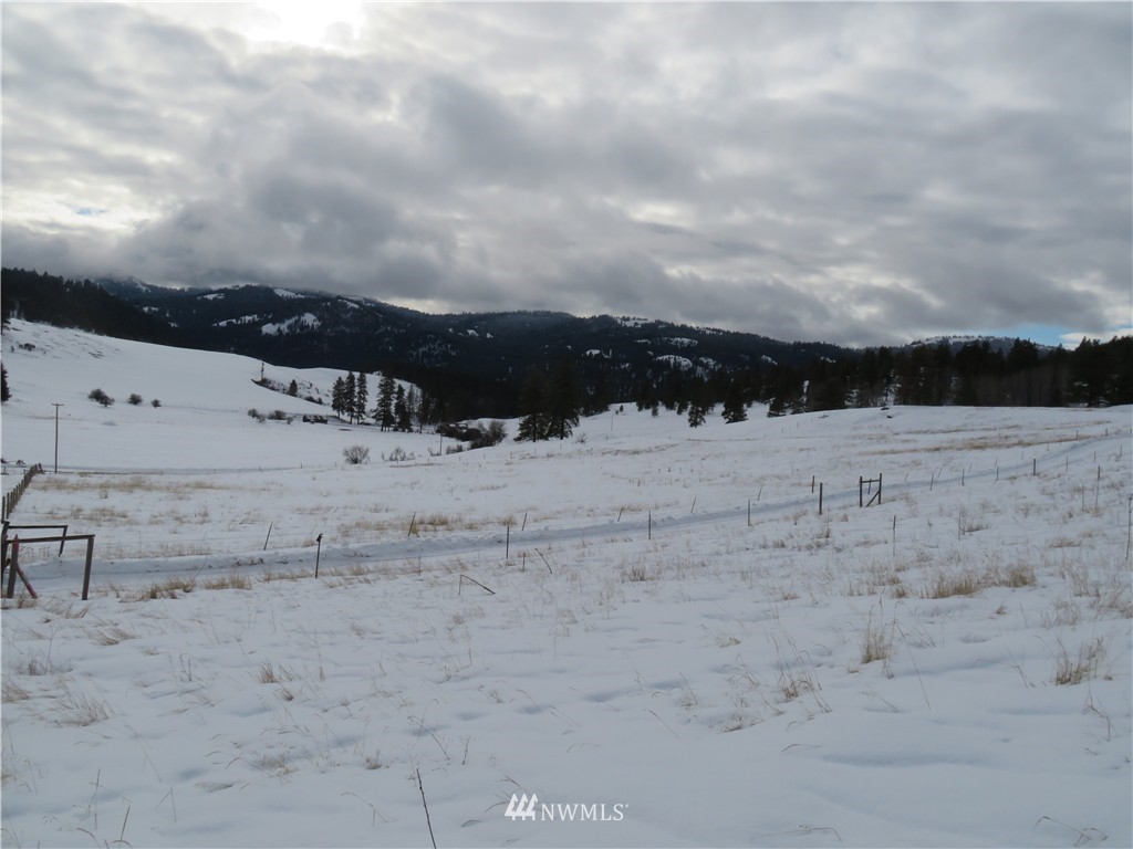-tbd Yenter Road Republic, WA 99166 - Photo 5 of 12