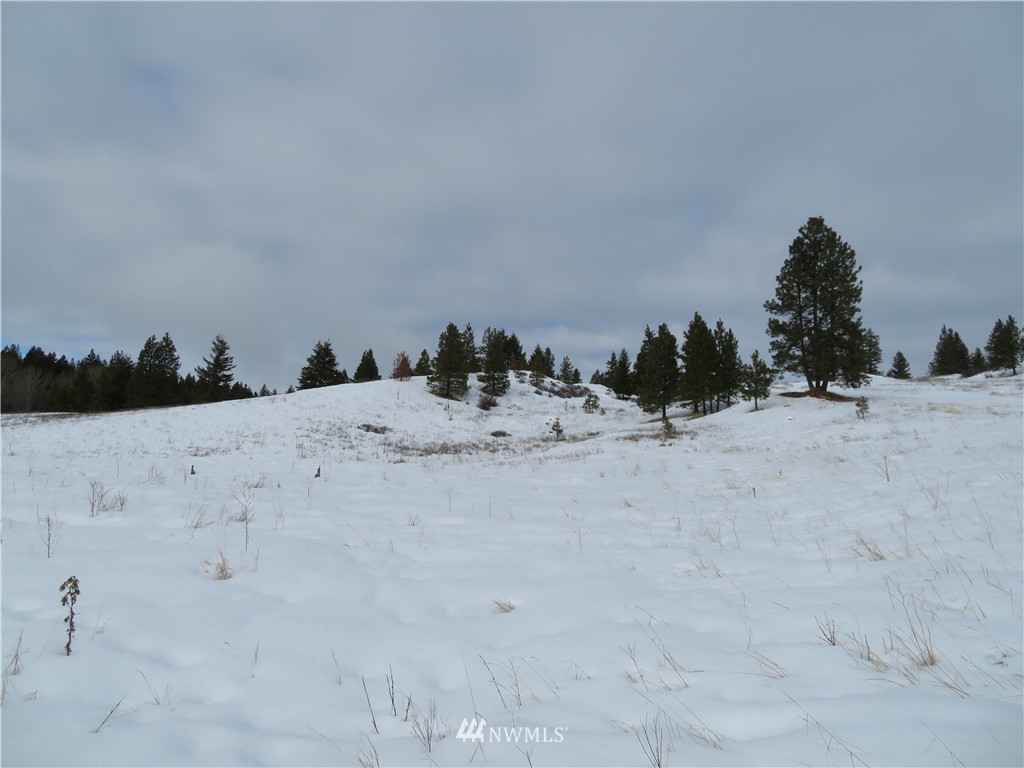 -tbd Yenter Road Republic, WA 99166 - Photo 6 of 12