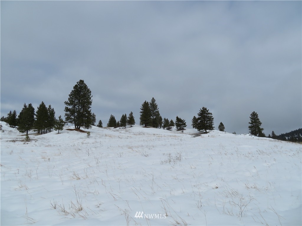 -tbd Yenter Road Republic, WA 99166 - Photo 7 of 12