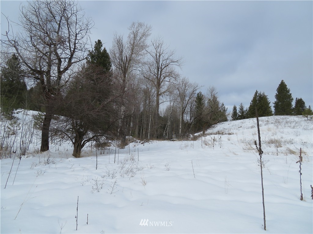 -tbd Yenter Road Republic, WA 99166 - Photo 8 of 12