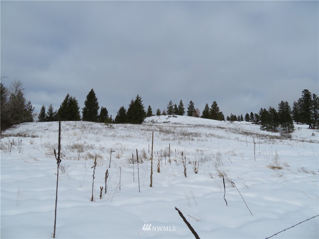 -tbd Yenter Road Republic, WA 99166 - Photo 9 of 12