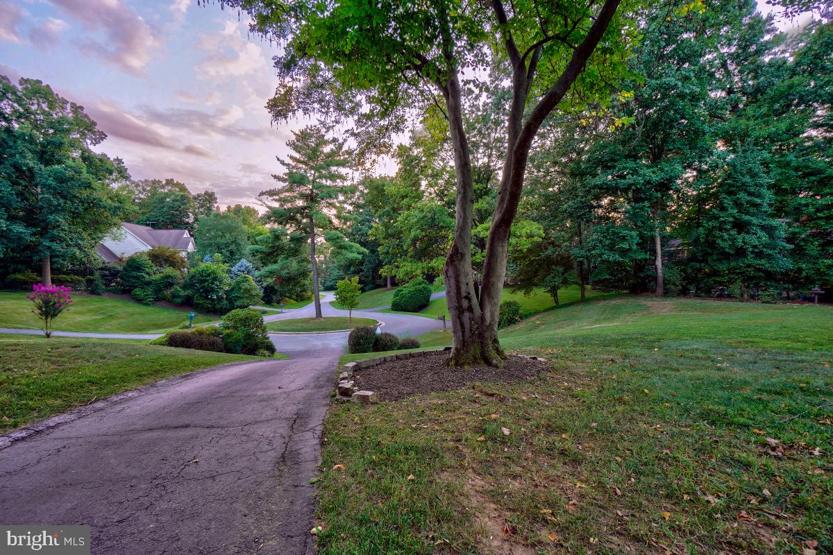 9501 Grover Road Gaithersburg, MD 20877 - Photo 40 of 57 Driveway