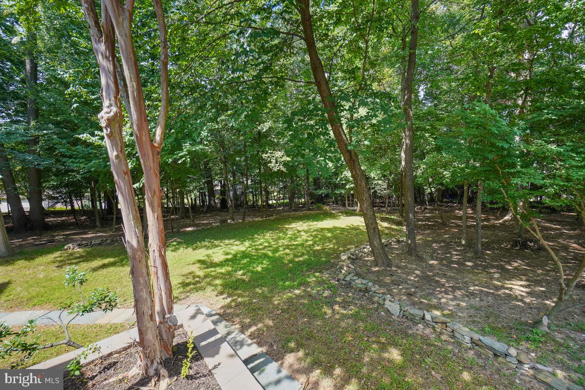 9501 Grover Road Gaithersburg, MD 20877 - Photo 49 of 57 Rear
