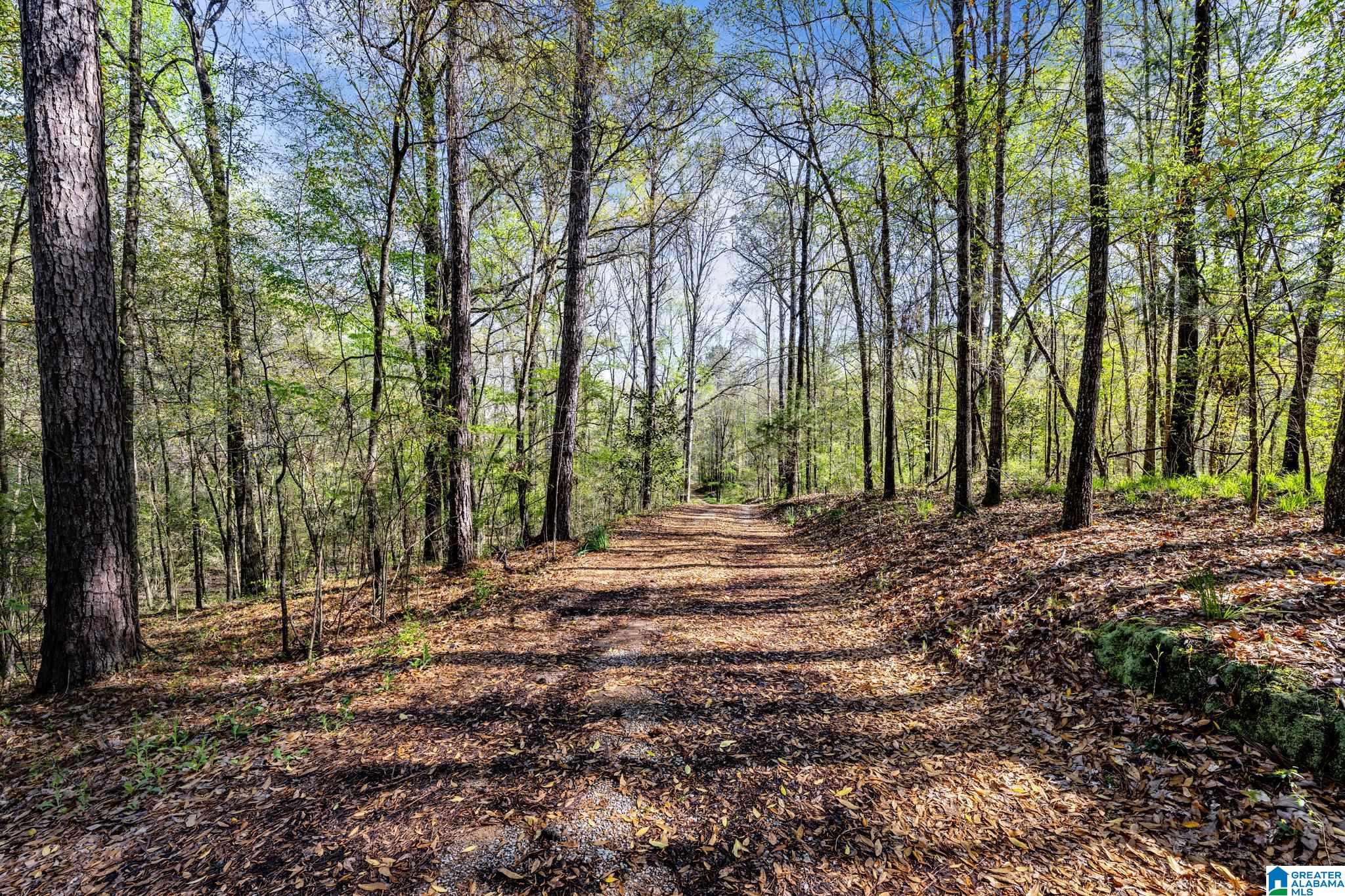 358 Cornelia Road Brierfield, AL 35035 - Photo 59 of 62