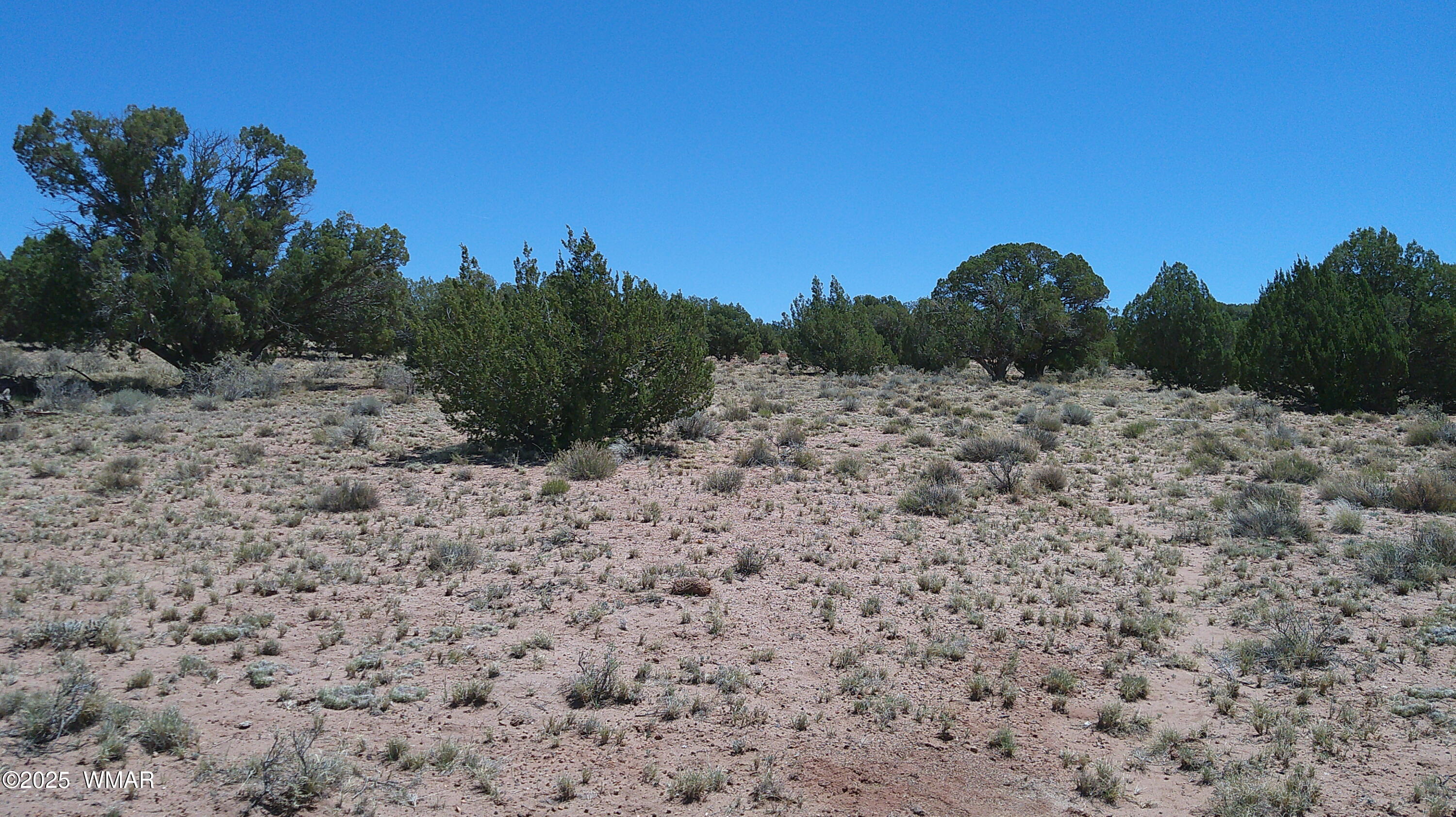 Tbd Tbd Rio Ranch Concho, AZ 85924 - Photo 19 of 44 DSCF0035