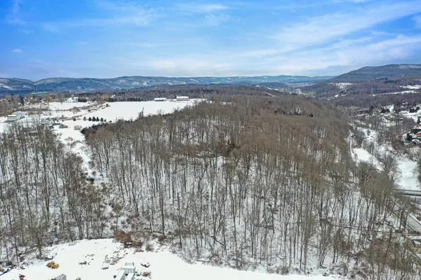 a view of a sky from a yard