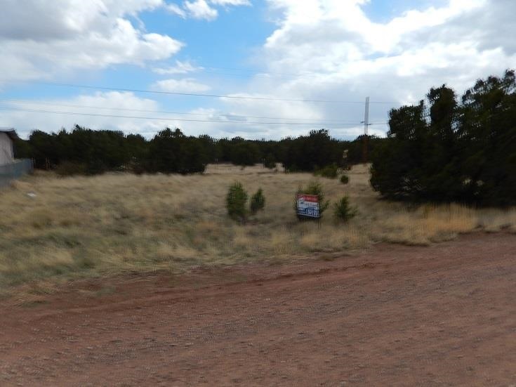 8435 Snowflake Circle Show Low, AZ 85901 - Photo 1 of 2