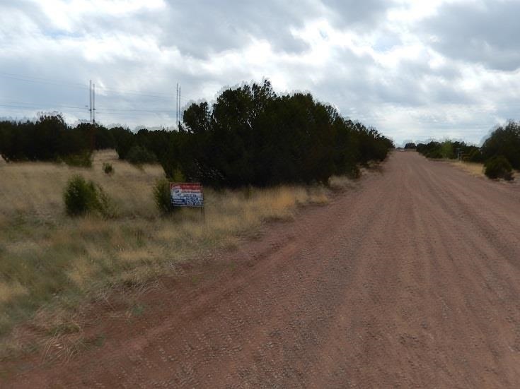 8435 Snowflake Circle Show Low, AZ 85901 - Photo 2 of 2