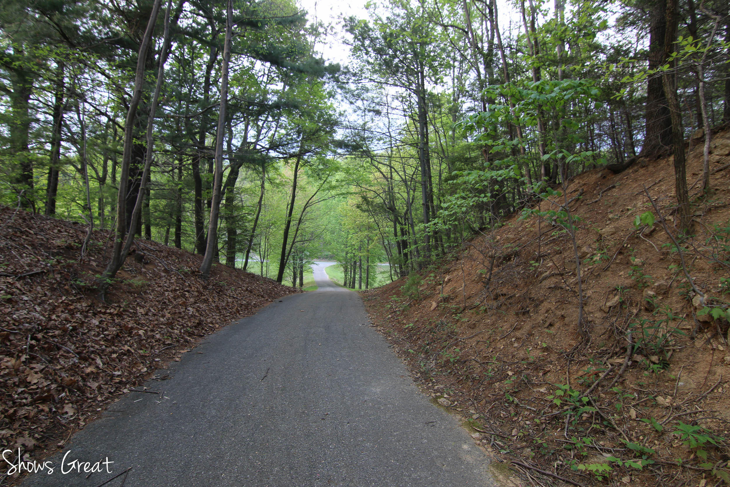 4800 Wade Road Roanoke, VA 24018 - Photo 9 of 40 Driveway