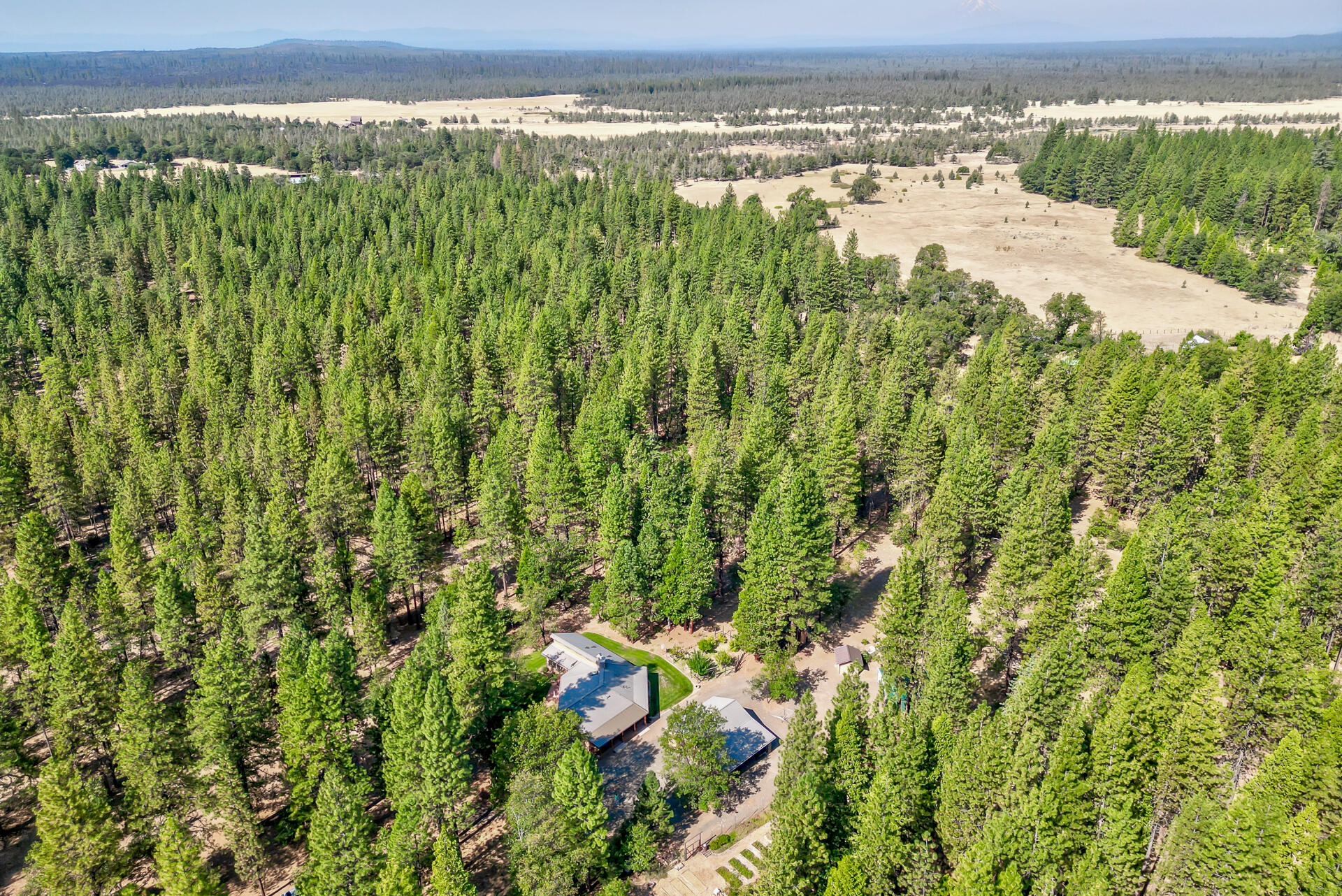 250 C Schneider Ranch Road McArthur, CA 96056 - Photo 4 of 59 250CSchneiderRanchRoad-70