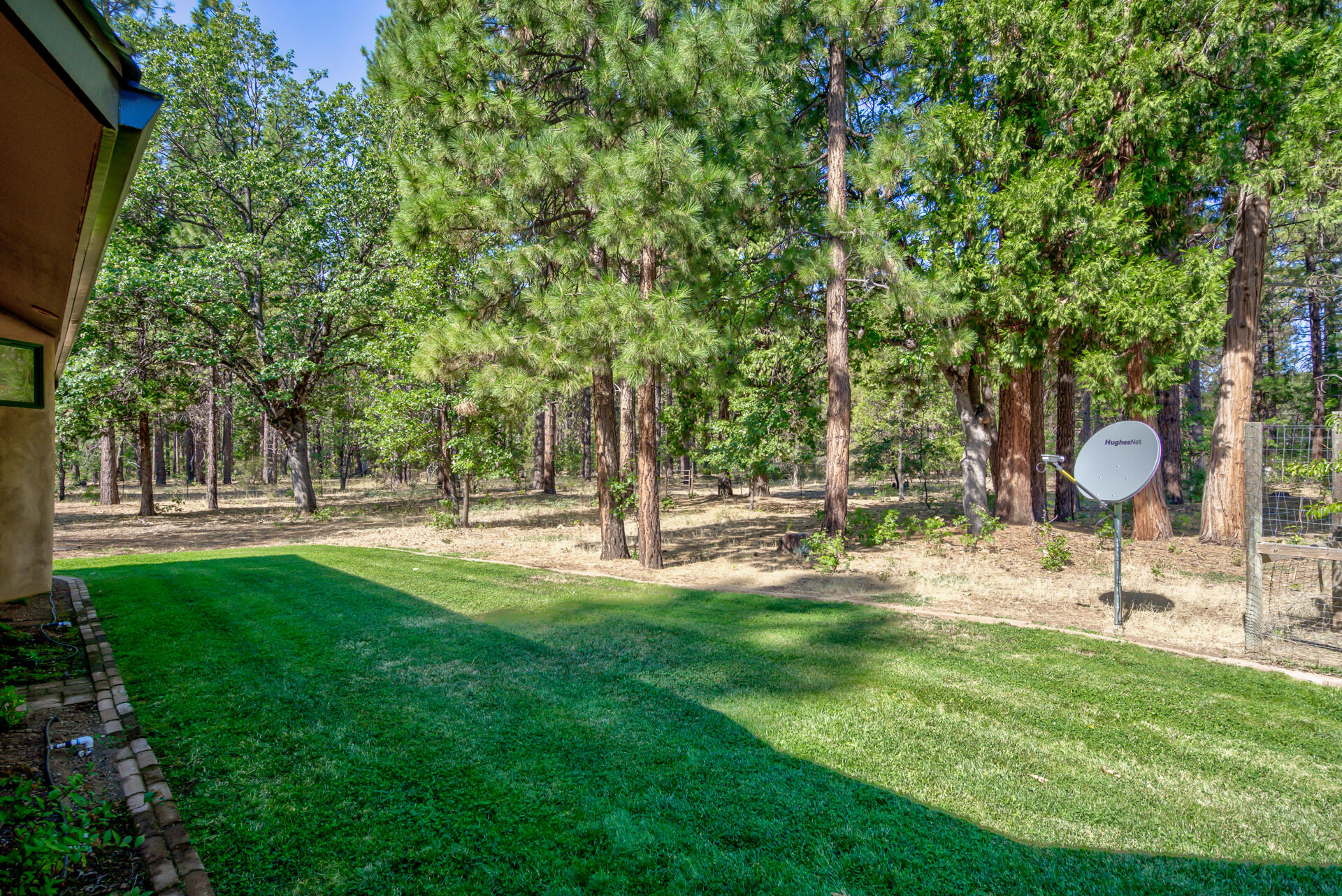 250 C Schneider Ranch Road McArthur, CA 96056 - Photo 45 of 59 250CSchneiderRanchRoad-42