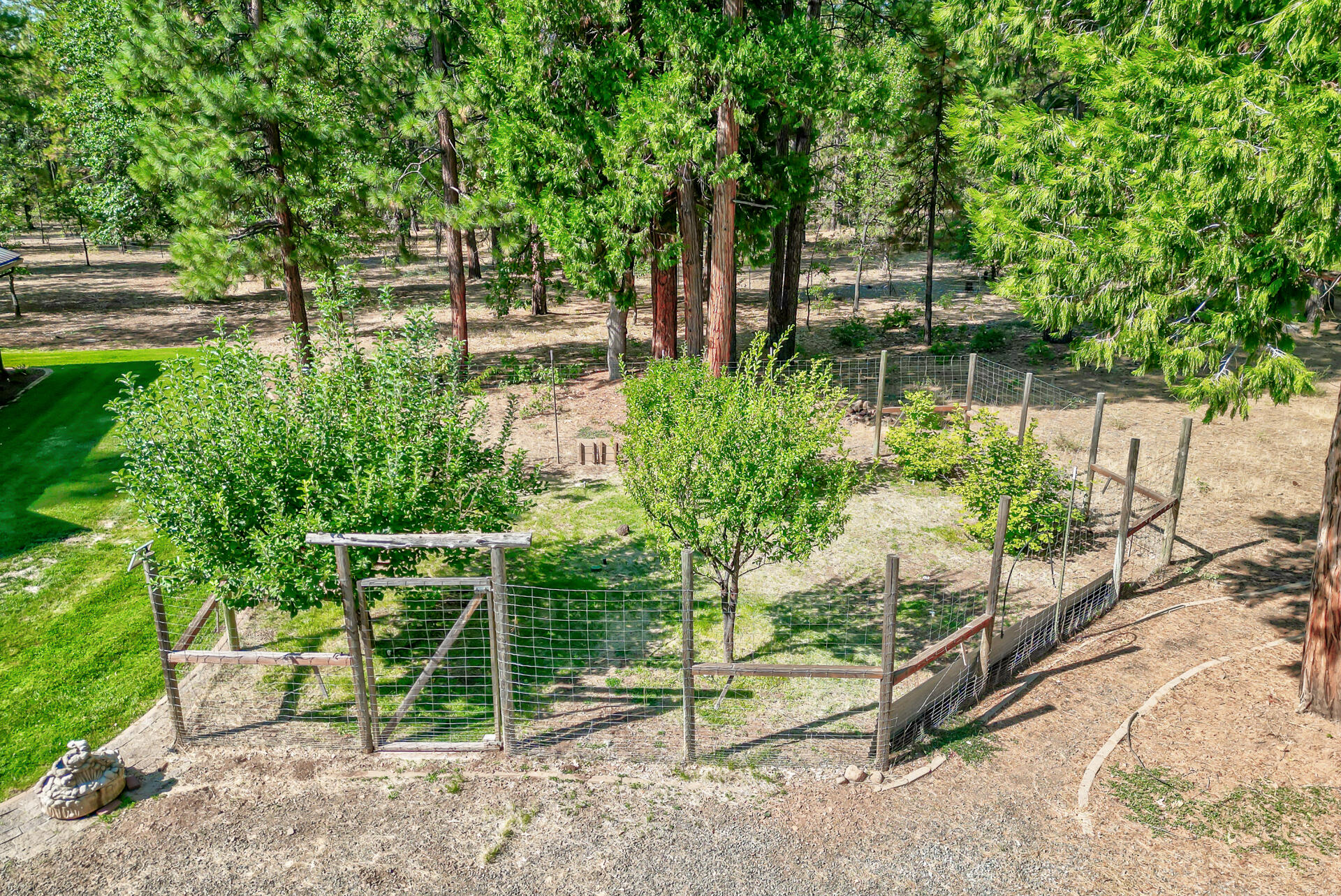 250 C Schneider Ranch Road McArthur, CA 96056 - Photo 47 of 59 250CSchneiderRanchRoad-55