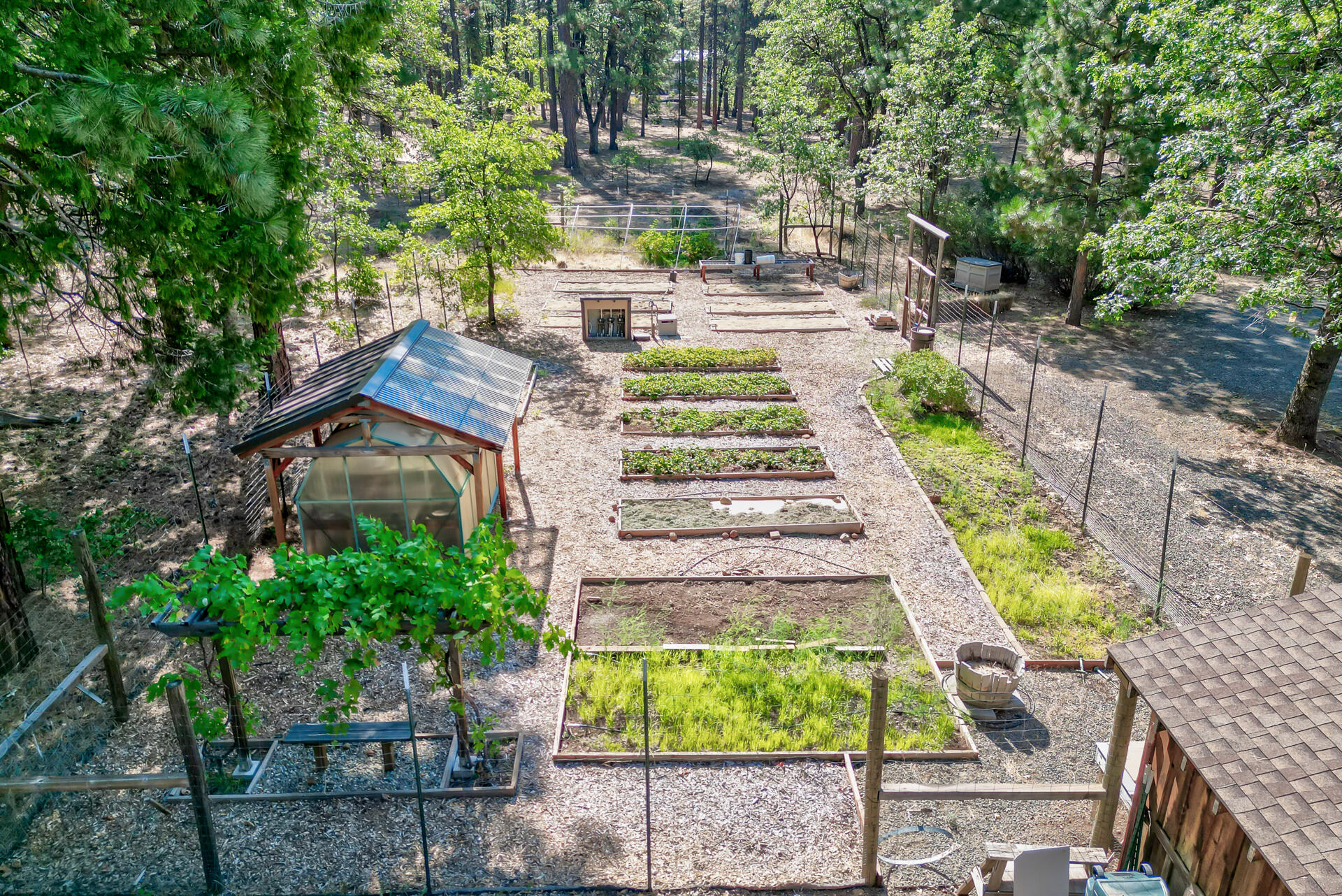 250 C Schneider Ranch Road McArthur, CA 96056 - Photo 54 of 59 250CSchneiderRanchRoad-62