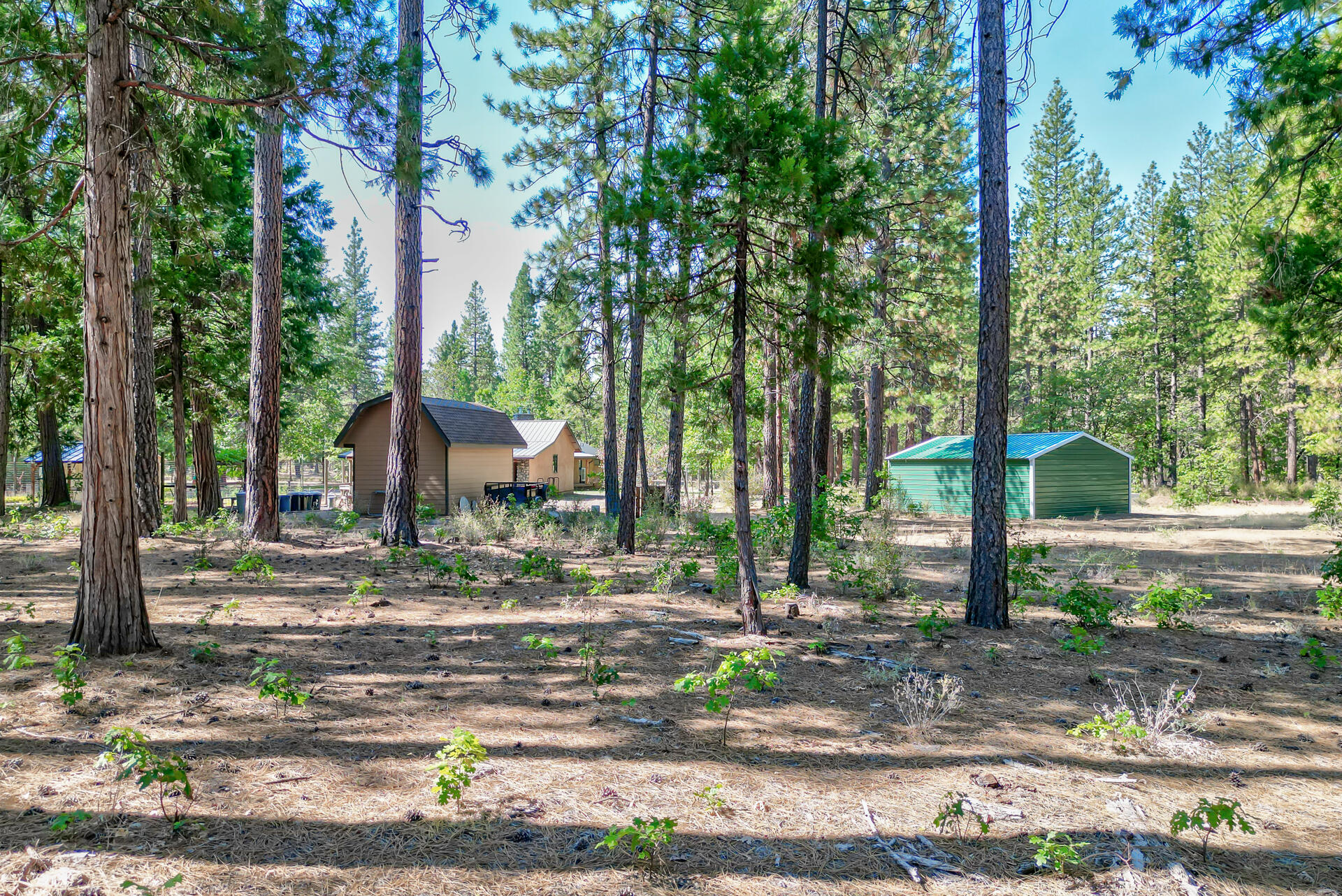 250 C Schneider Ranch Road McArthur, CA 96056 - Photo 58 of 59 250CSchneiderRanchRoad-66