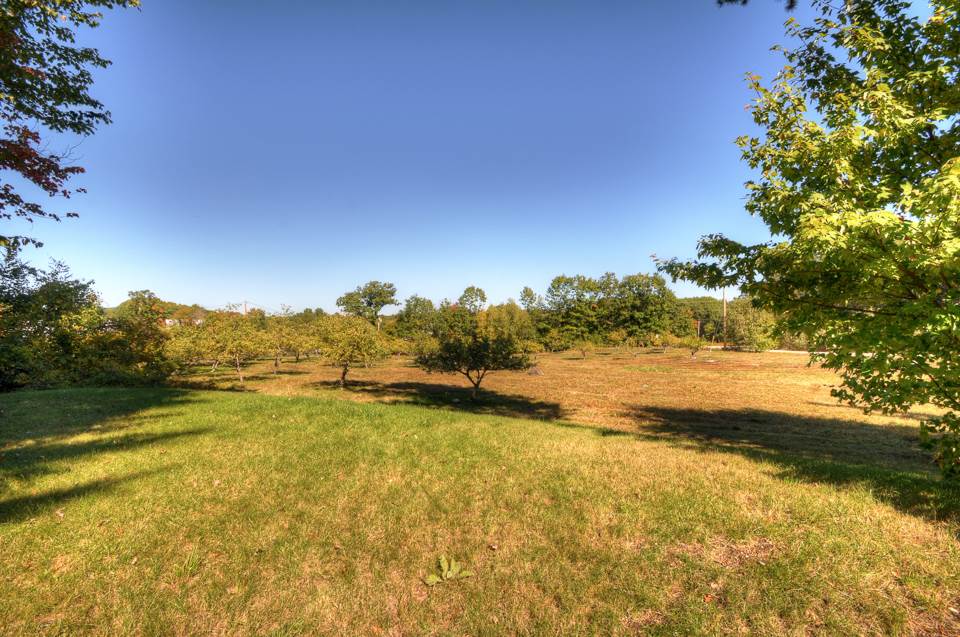 20 Rose Farm Road Lyndeborough, NH 03082 - Photo 8 of 23