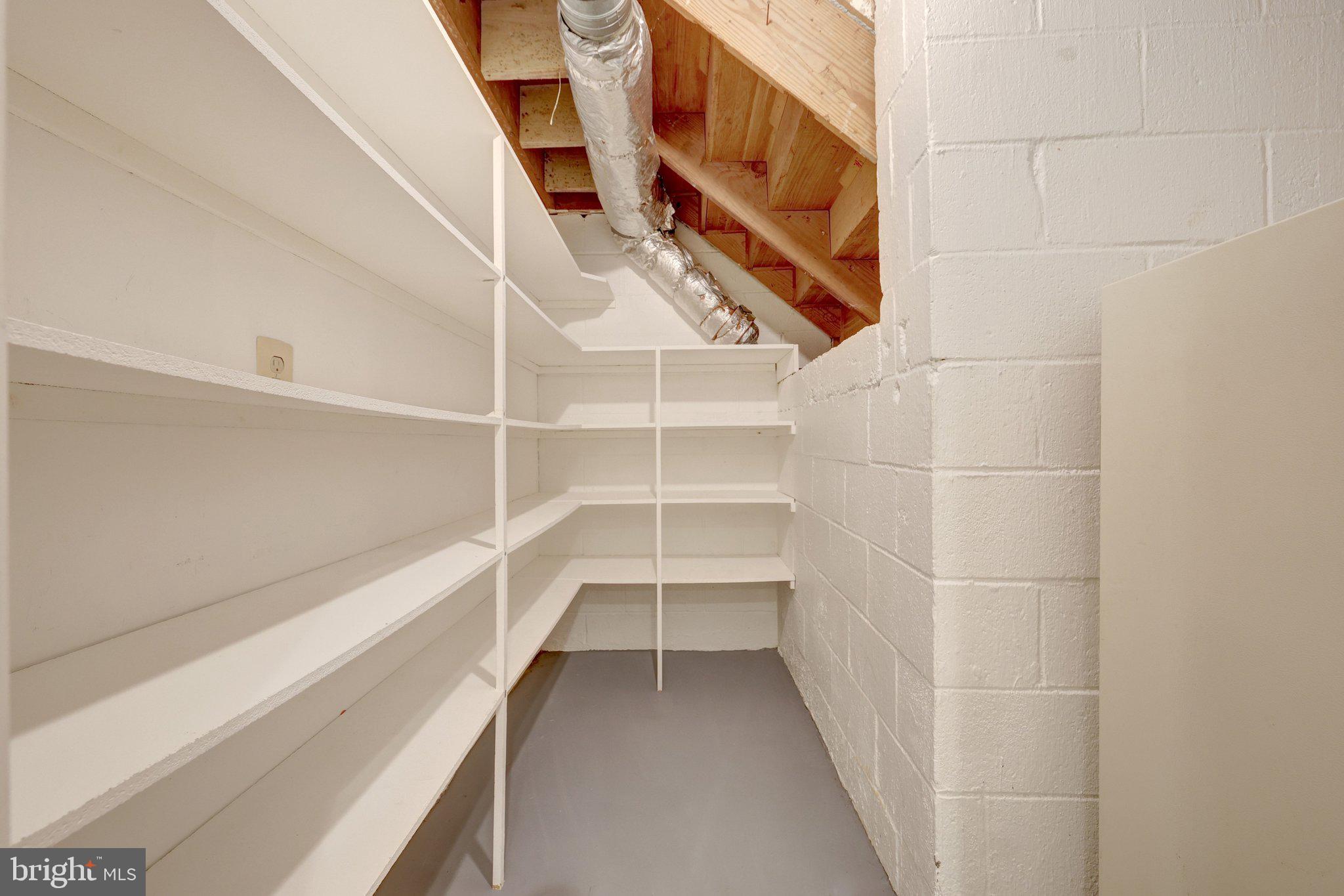3312 Midland Road Fairfax, VA 22031 - Photo 47 of 61 Large walk in closet in lower level