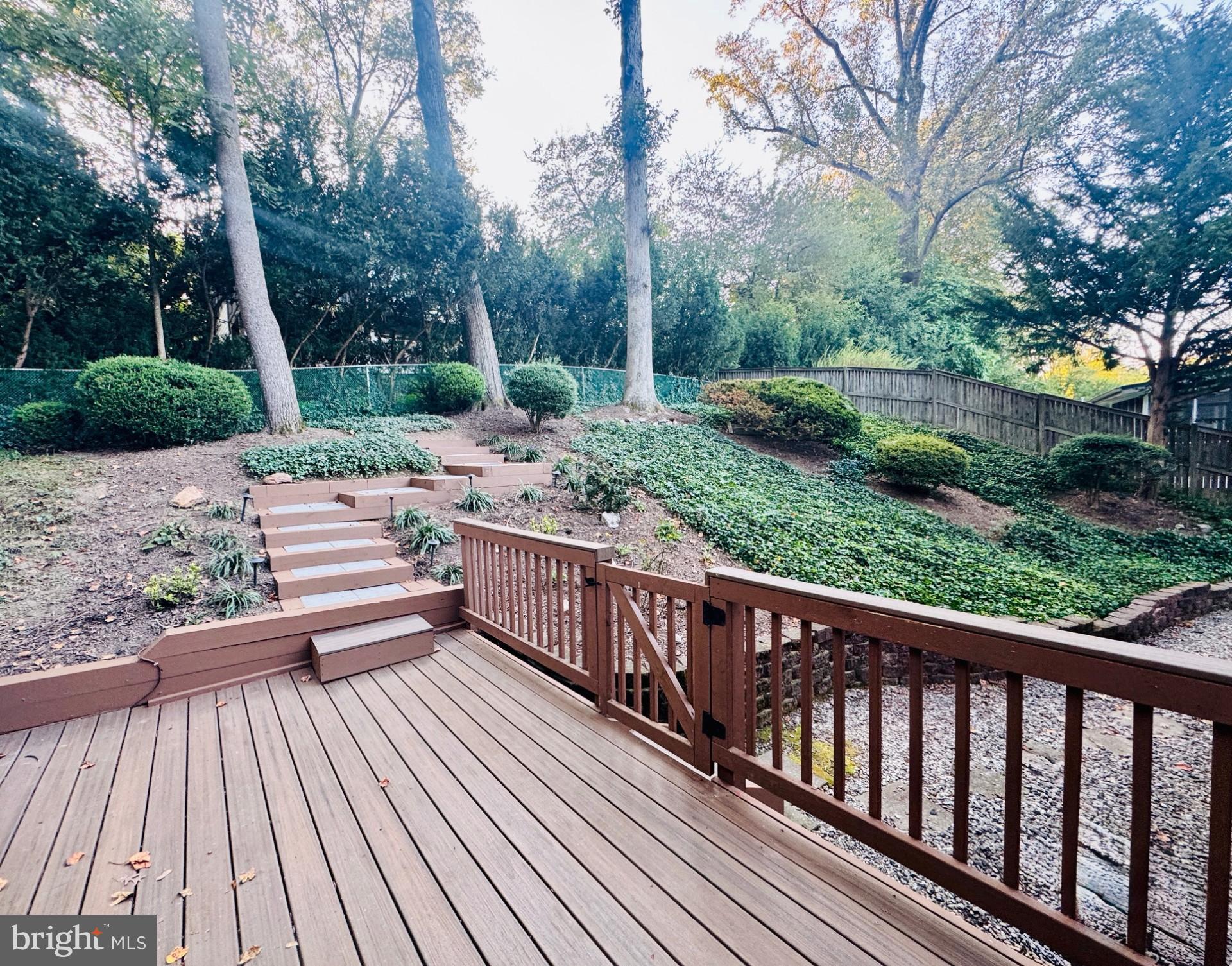 3312 Midland Road Fairfax, VA 22031 - Photo 5 of 12 Serene backyard retreat with lush greenery.