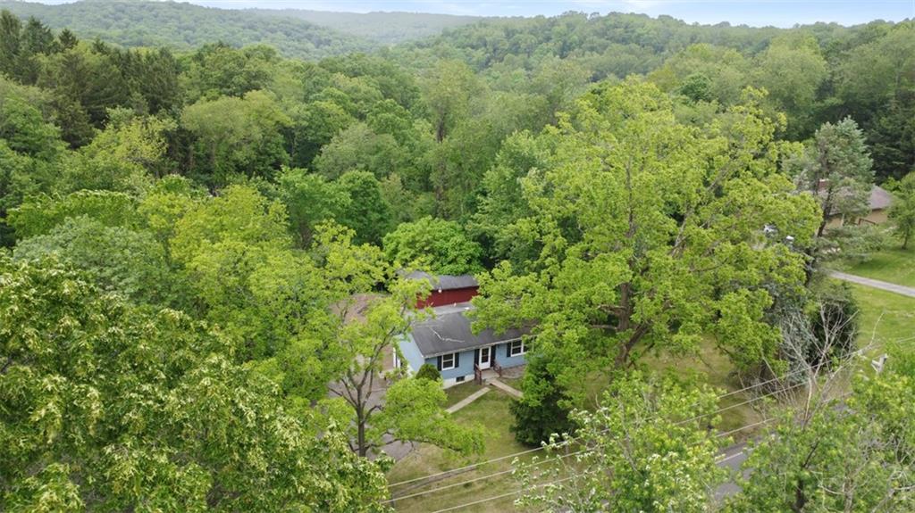 724 Camp Meeting Road Sewickley, PA 15143 - Photo 6 of 32 a view of a forest with a street