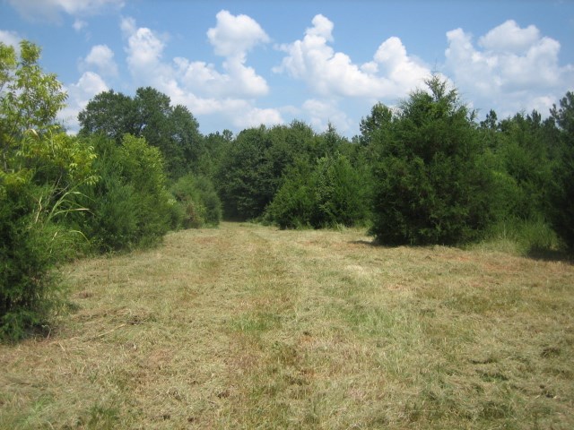449 Hook Road Honea Path, SC 29654 - Photo 13 of 19