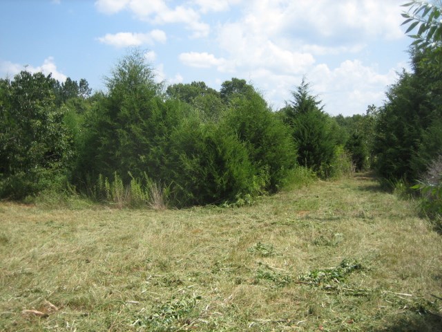 449 Hook Road Honea Path, SC 29654 - Photo 14 of 19