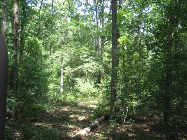 449 Hook Road Honea Path, SC 29654 - Photo 15 of 19
