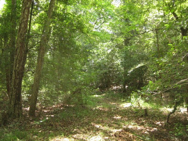 449 Hook Road Honea Path, SC 29654 - Photo 16 of 19