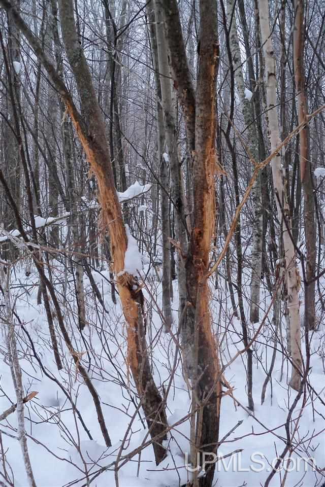 26 Co Road Negaunee, MI 49866 - Photo 20 of 31