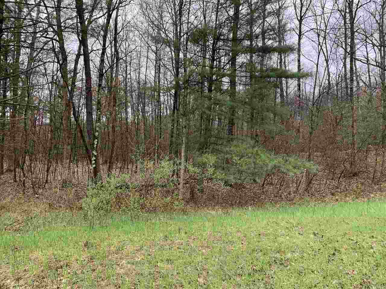 40 East Hawley Road Quincy, MI 49082 - Photo 3 of 5