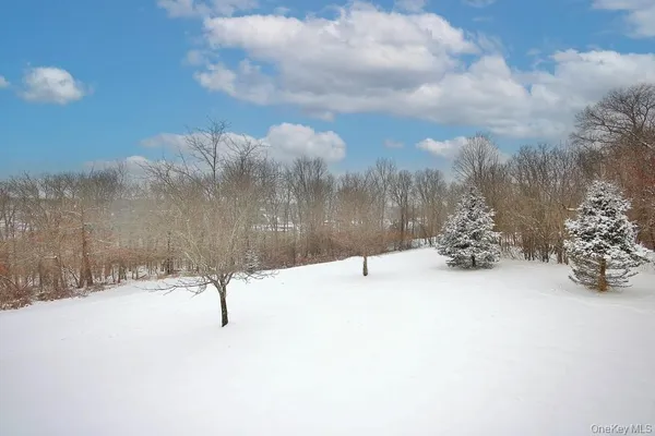 a view of a yard with a snow