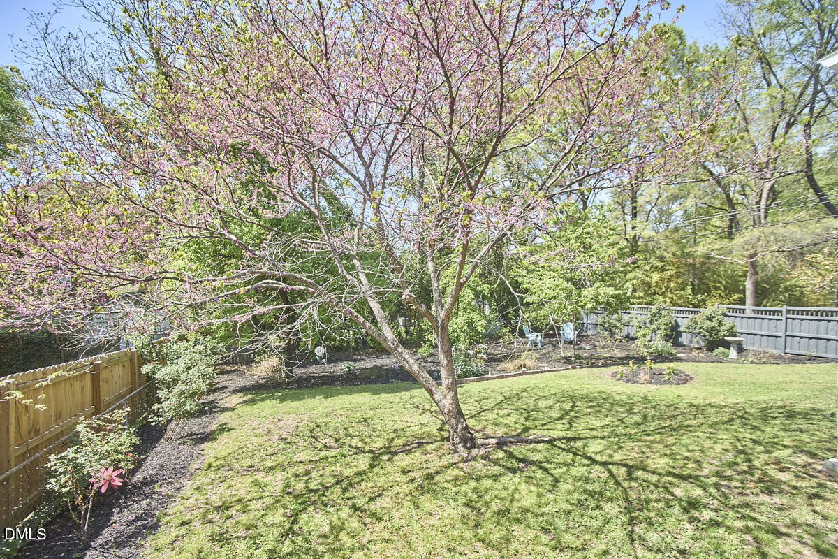 1002 Shepherd Street Durham, NC 27707 - Photo 45 of 52 Backyard