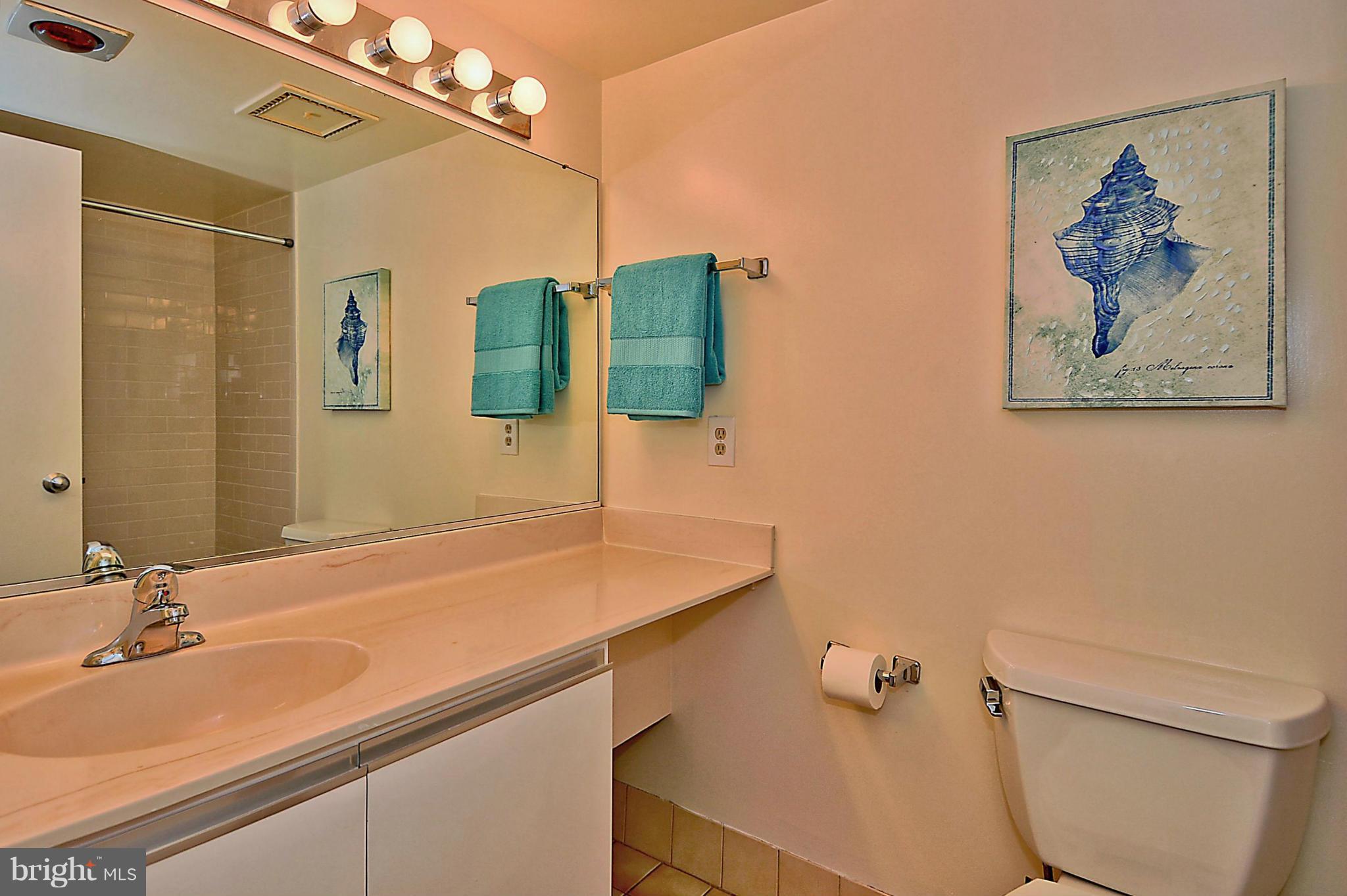 1808 Old Meadow Road, Unit 217 McLean, VA 22102 - Photo 13 of 30 a bathroom with a sink and a mirror