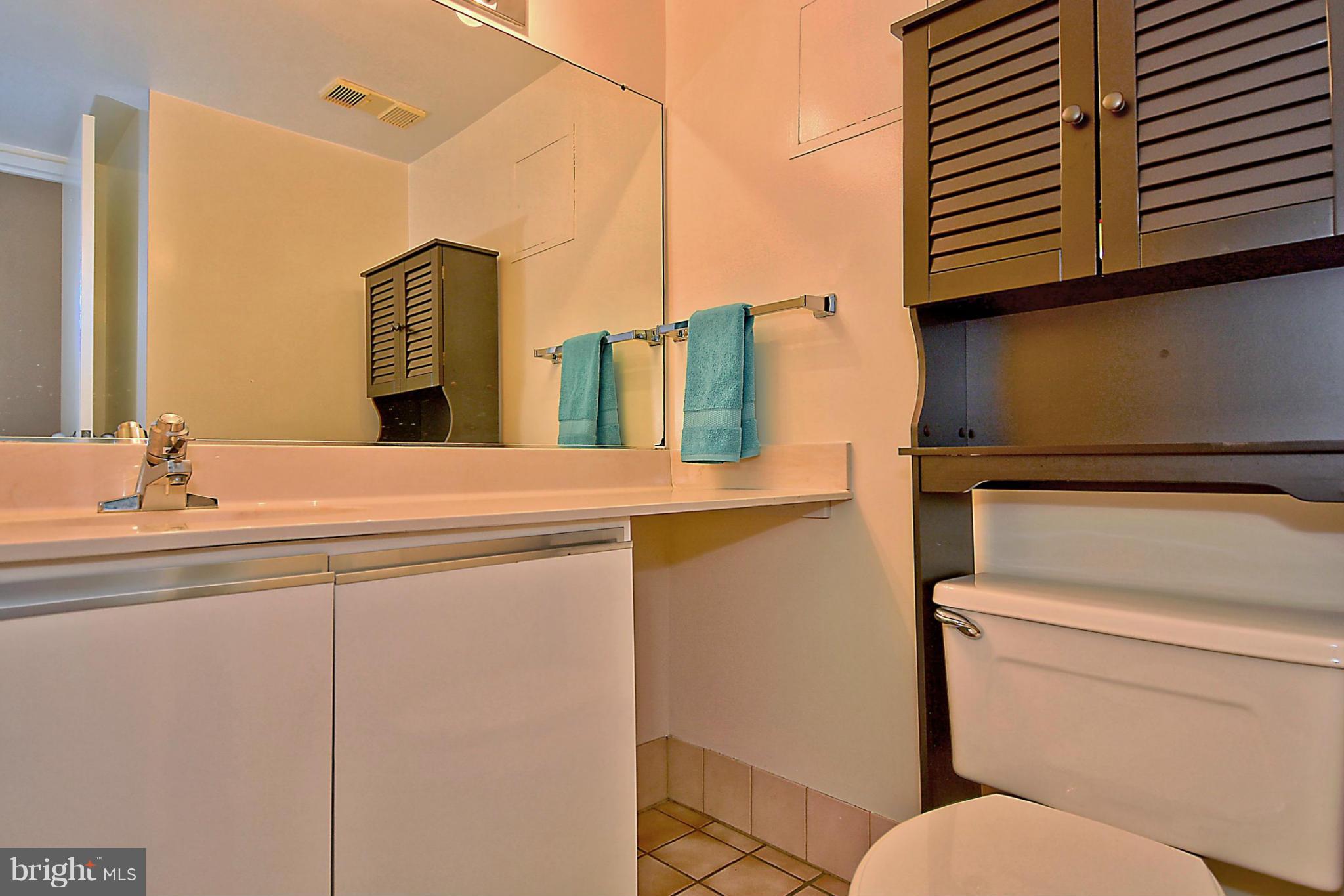 1808 Old Meadow Road, Unit 217 McLean, VA 22102 - Photo 9 of 30 a bathroom with a sink and a mirror