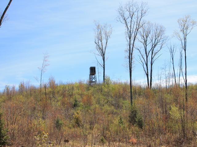 19081 Erickson Drive Dunbar, WI 54119 - Photo 58 of 87