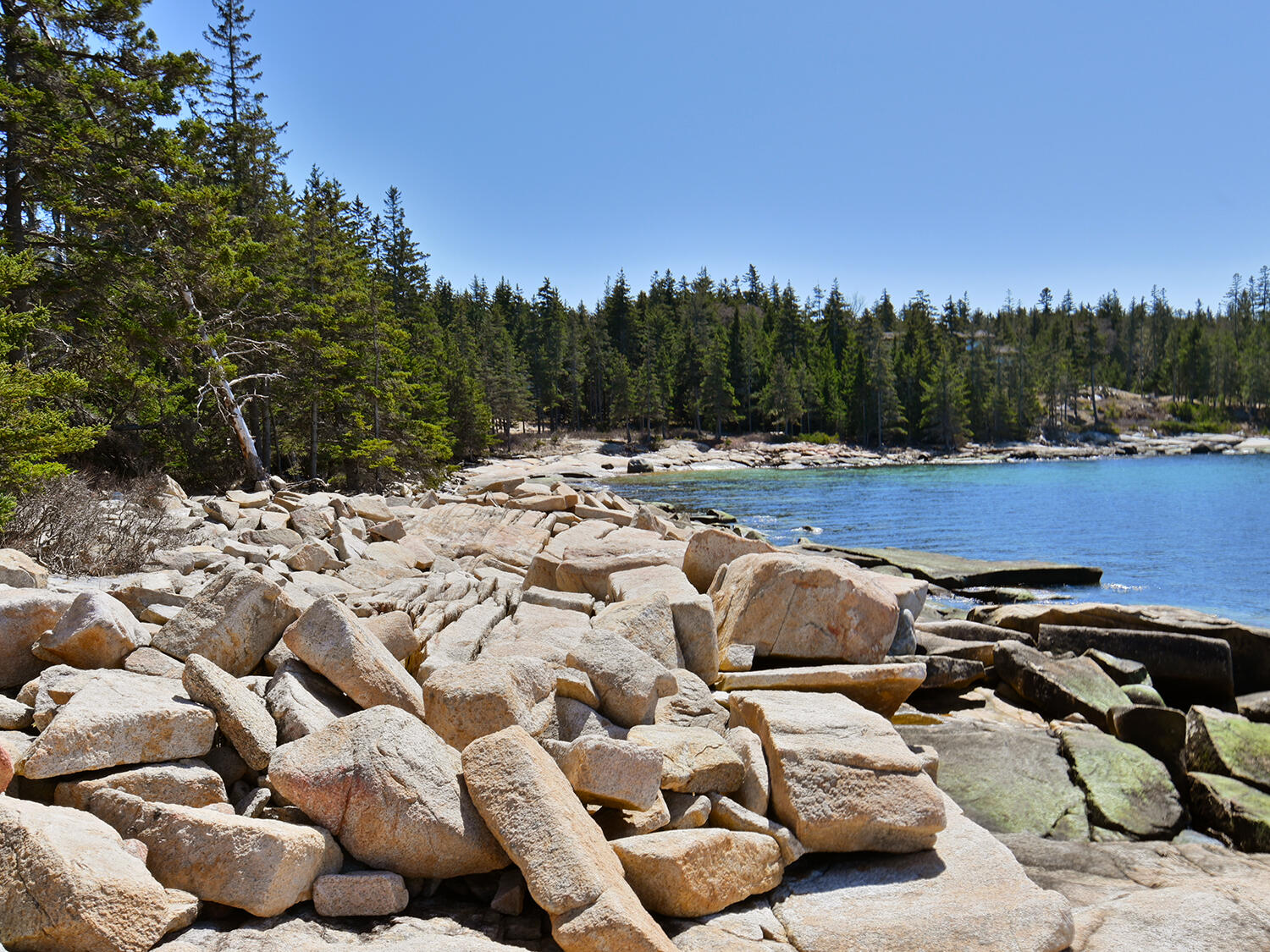 Lot 1 Jericho Bay Road Swans Island, ME 04685 - Photo 2 of 15 Sunset Point