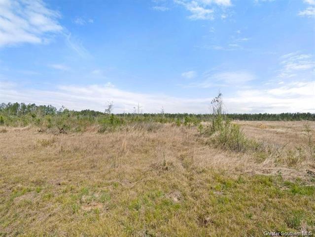 Rea Road Deridder, LA 70634 - Photo 1 of 1 Gallery Image 1