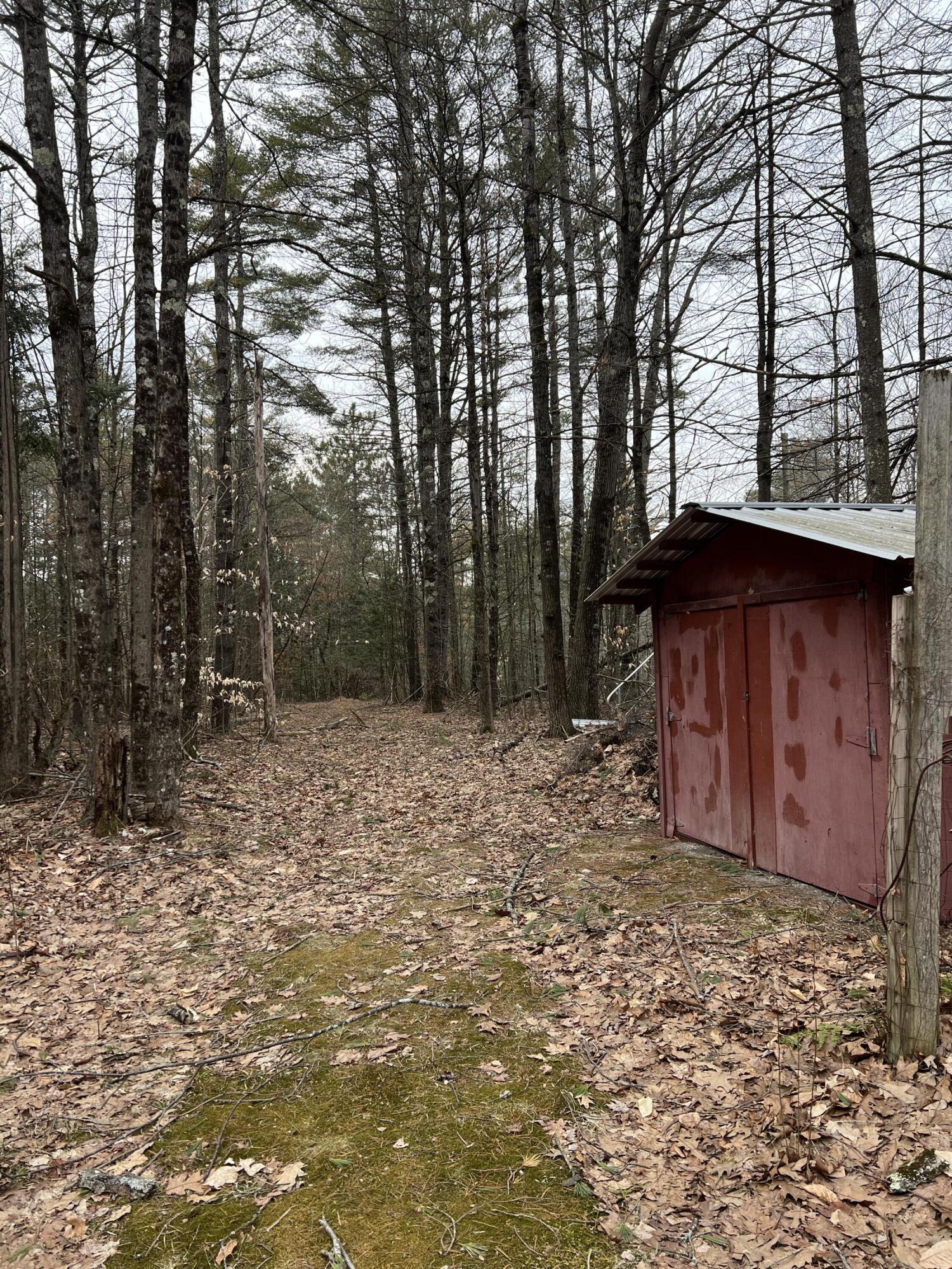 776 Brainards Forge Road Lewis, NY 12993 - Photo 4 of 21