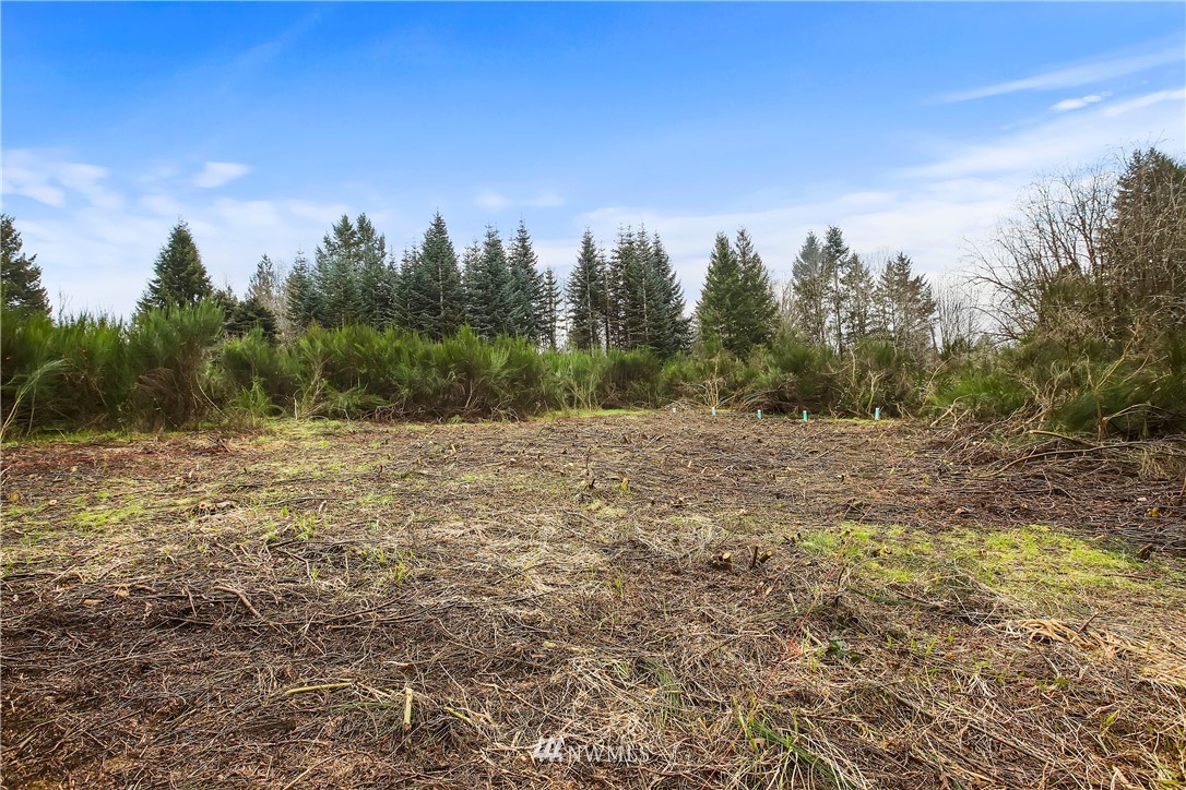 9784 West Belfair Valley Road Bremerton, WA 98312 - Photo 39 of 40 Gallery Image 39
