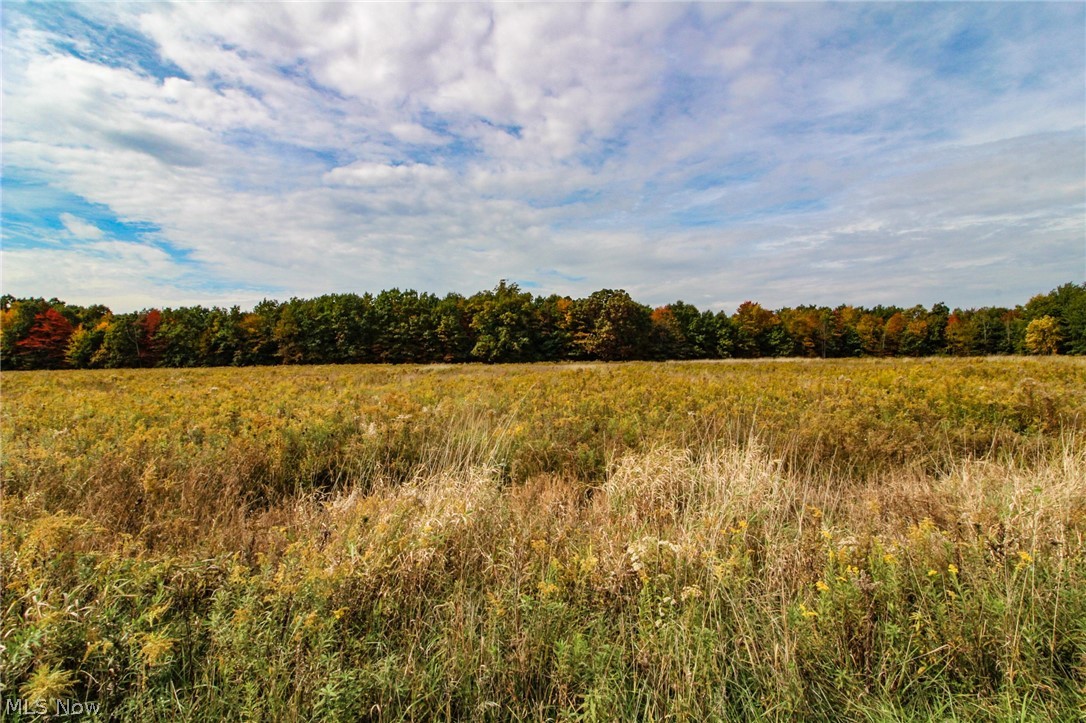 0 Kyle Road Dorset, OH 44032 - Photo 11 of 35 Gallery Image 11