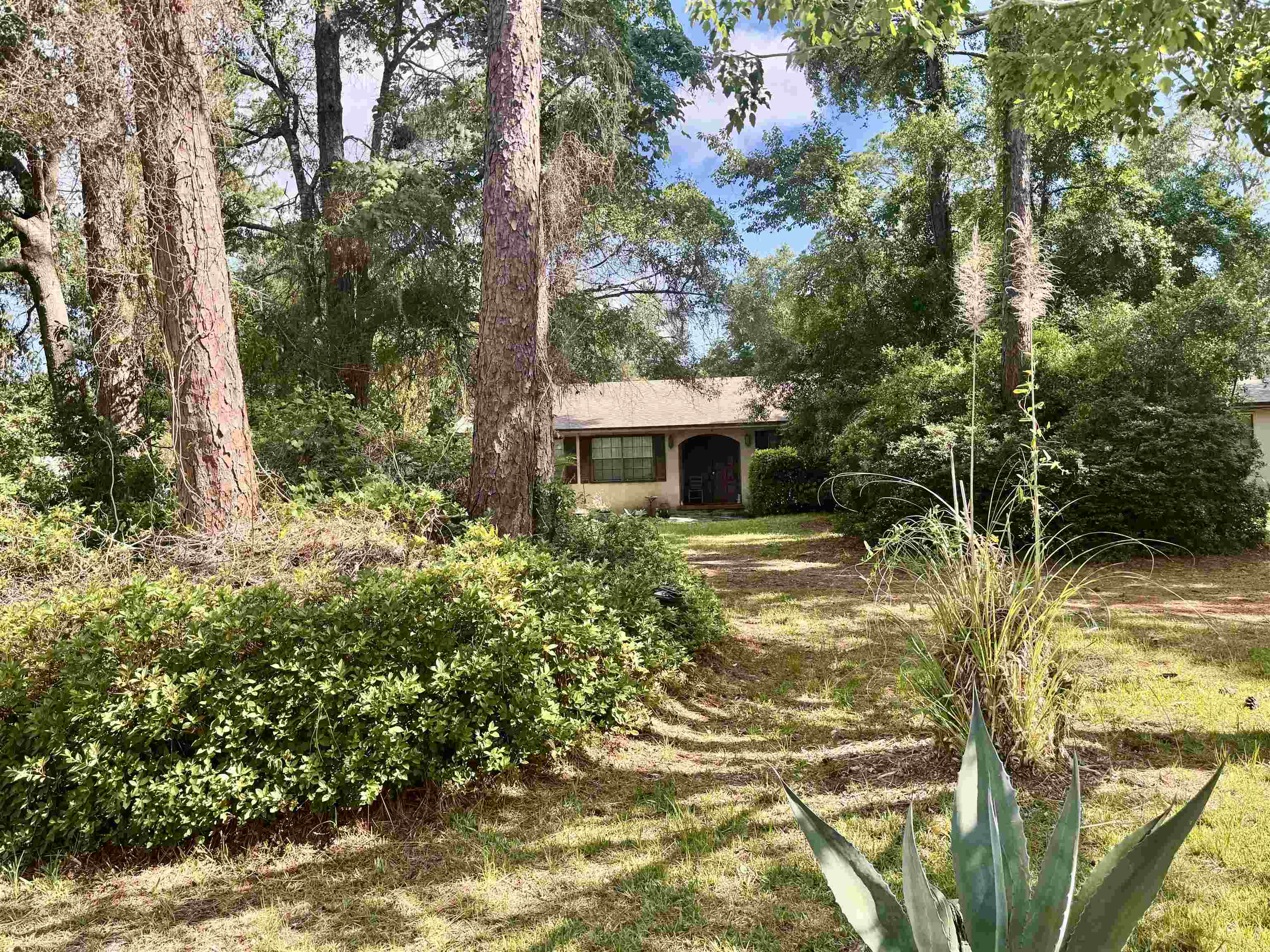 554 Hayley Road St. Augustine, FL 32086 - Photo 3 of 46 a view of a house with a yard