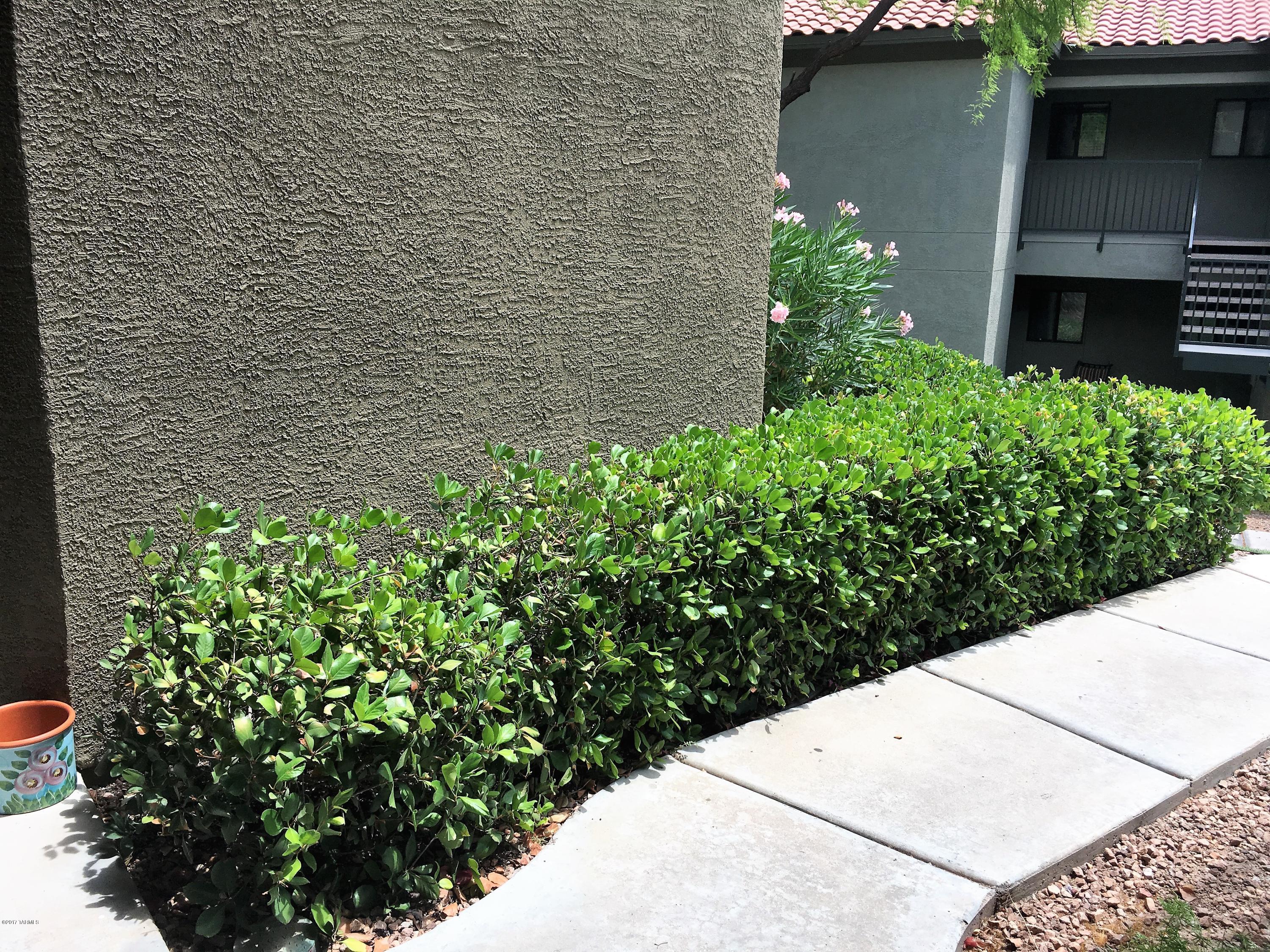 5751 North Kolb Road, Unit 15101 Tucson, AZ 85750 - Photo 25 of 37