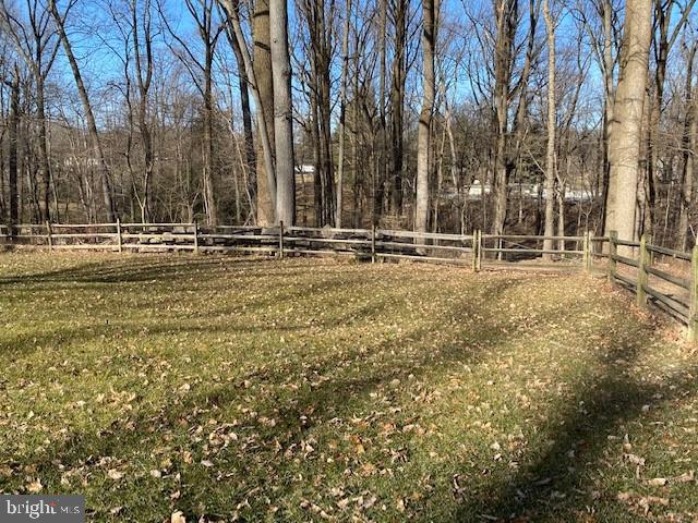 1206 Ednor Road Silver Spring, MD 20905 - Photo 49 of 51 Zip Line Over Creek On Property!