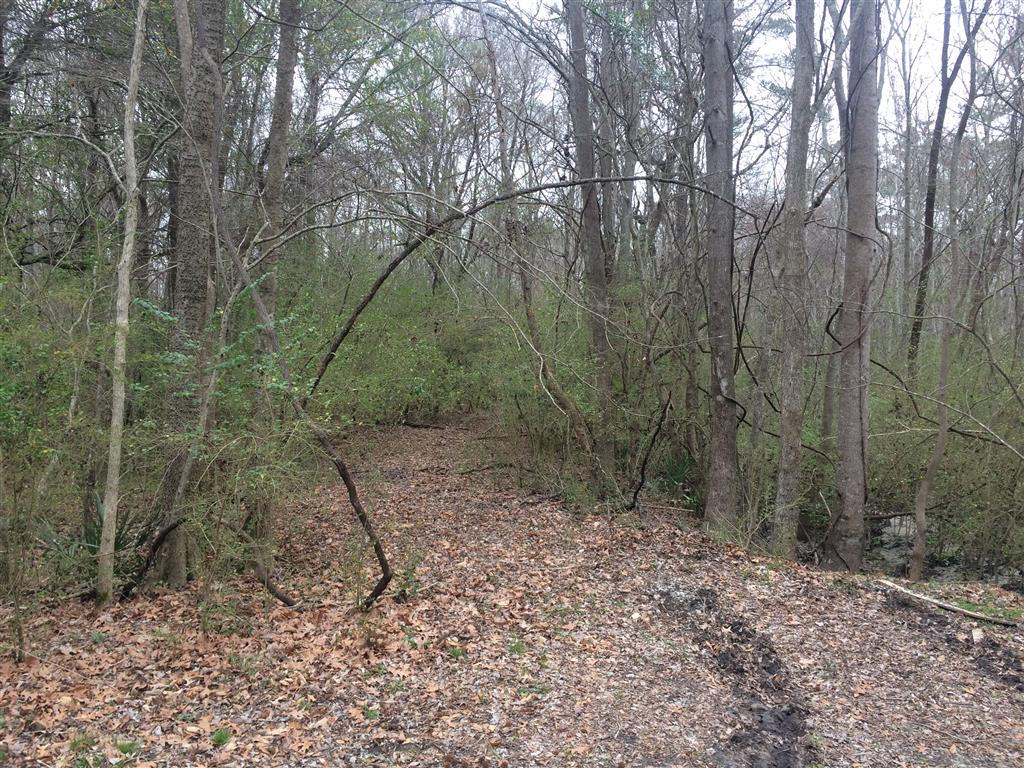 412 Huntington Road Summerville, SC 29483 - Photo 2 of 8 002 (Medium)