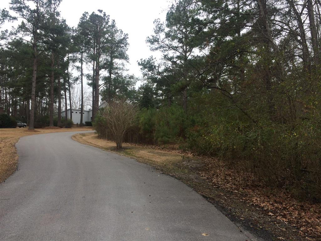 412 Huntington Road Summerville, SC 29483 - Photo 3 of 8 003 (Medium)